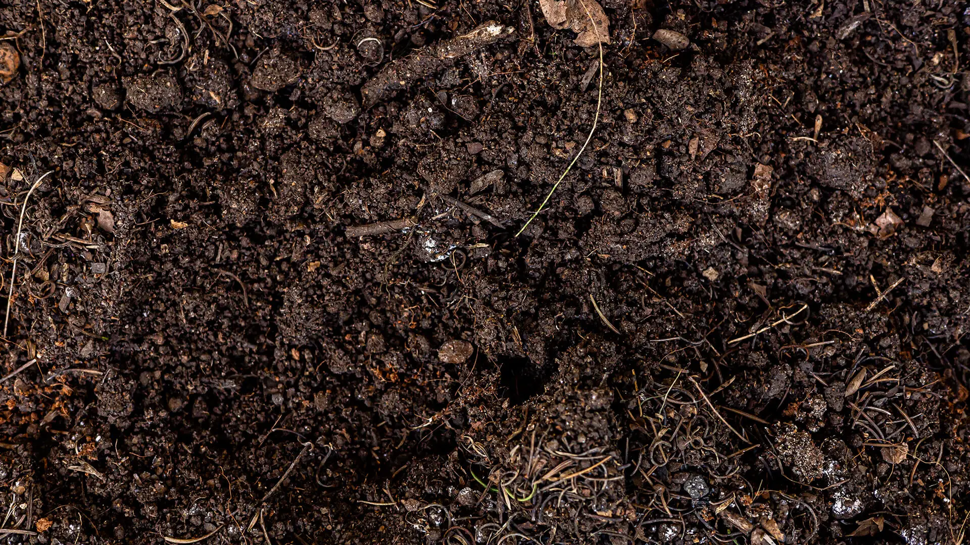 Compost