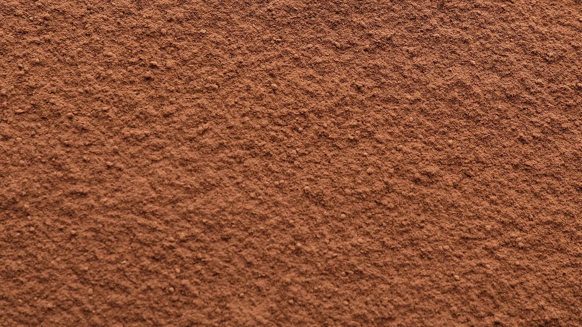 Cacao