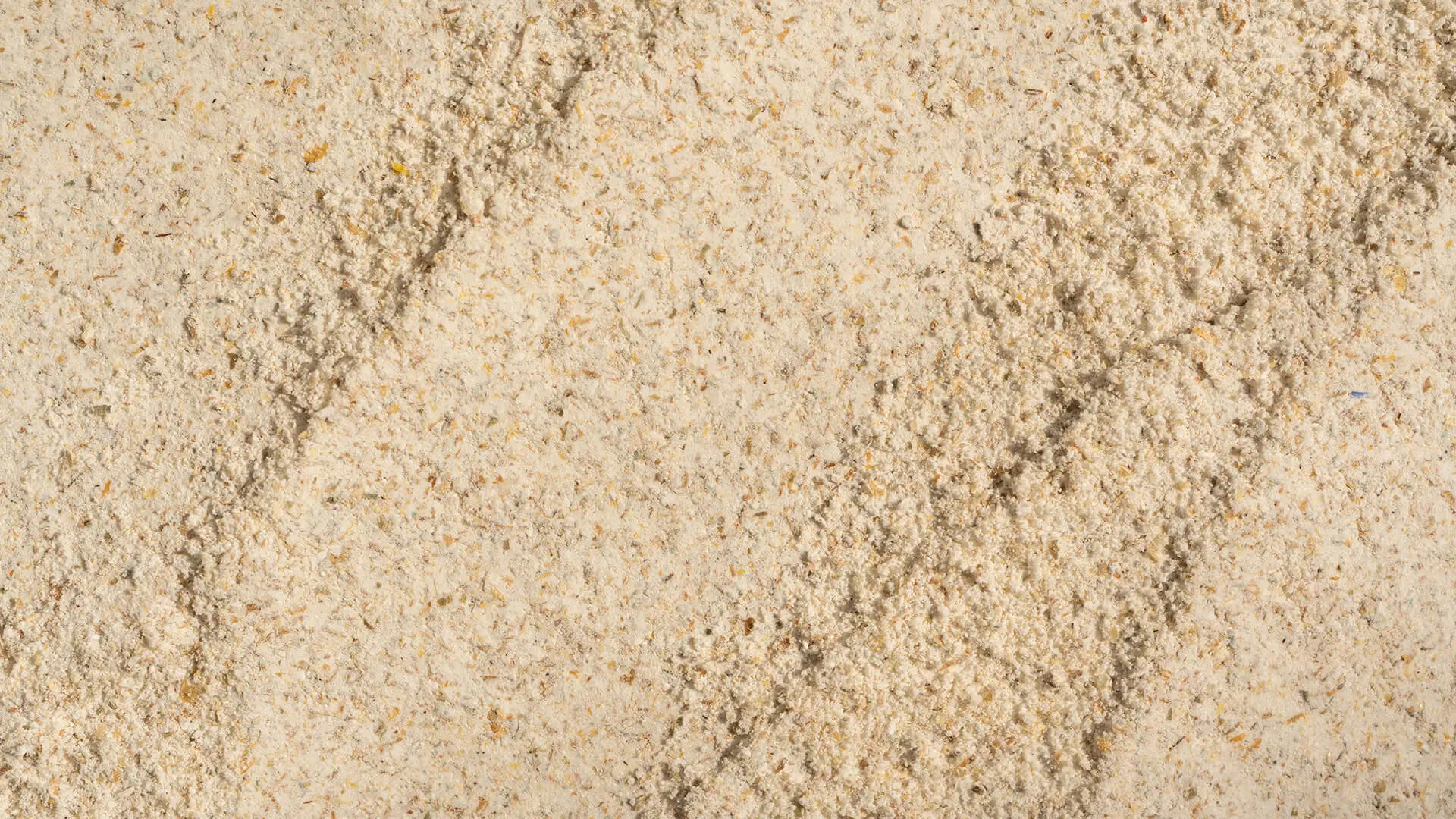 Whole wheat flour