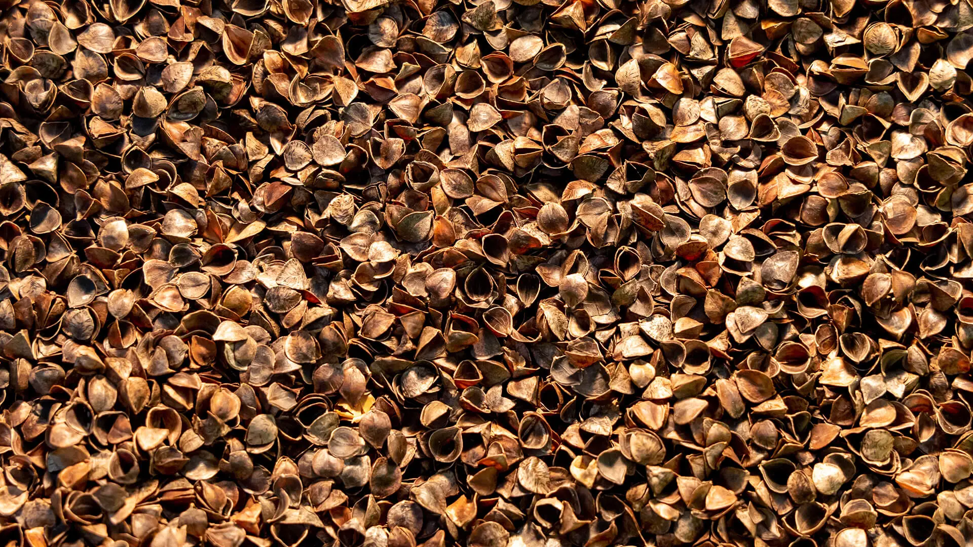 Grain hulls