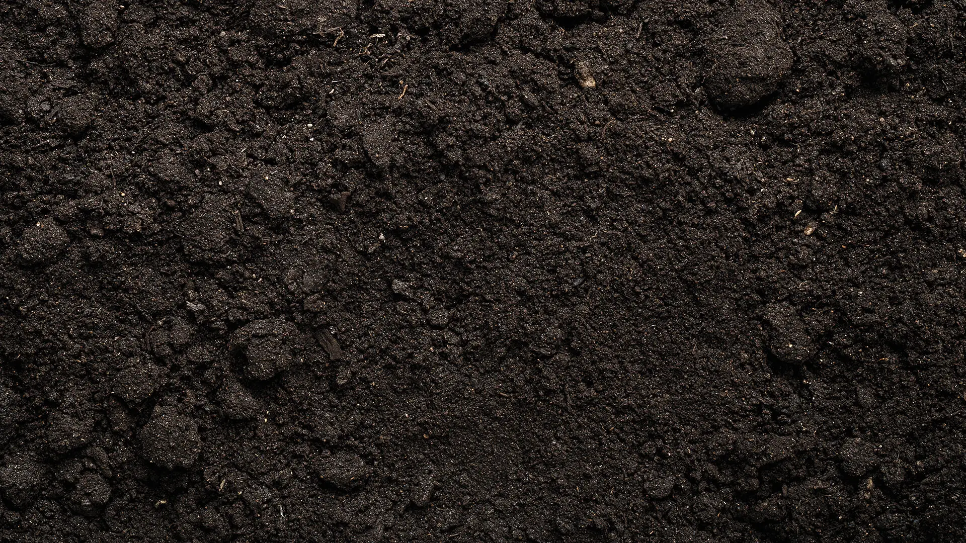 Topsoil