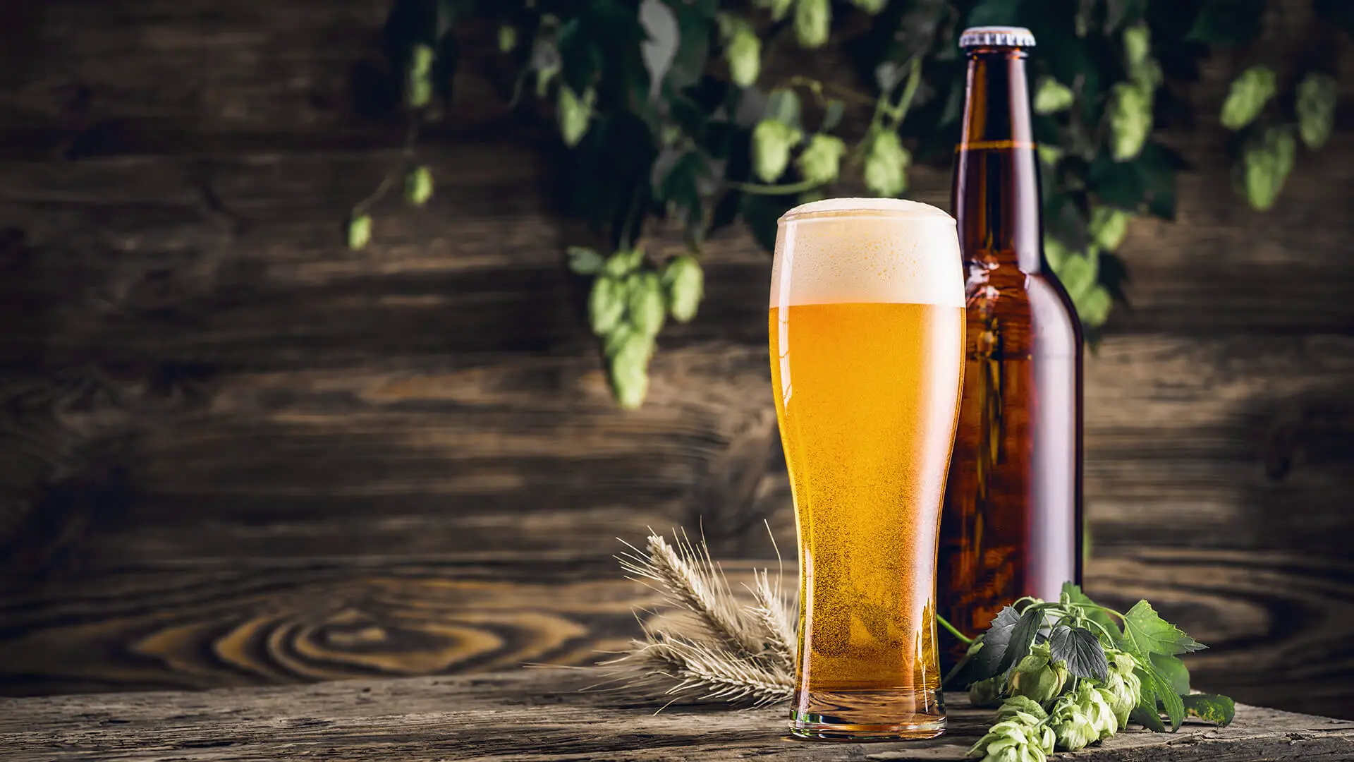 Beer