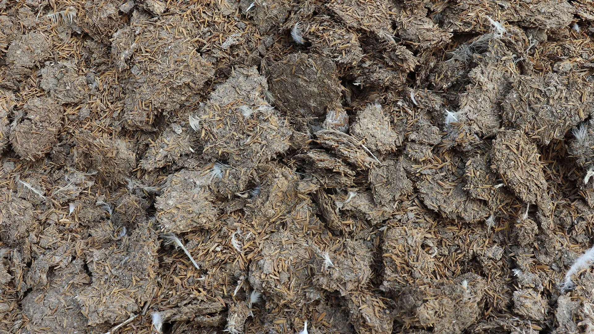 Soil amendments