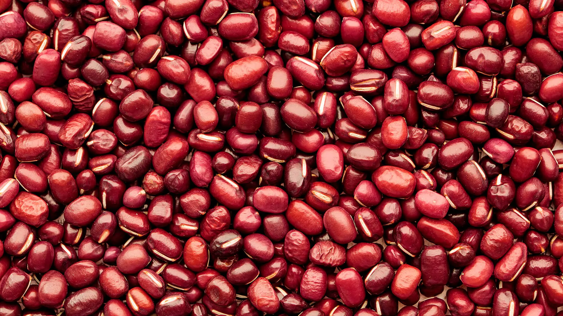 Beans