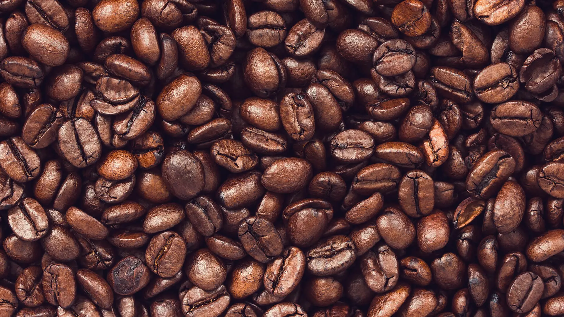 Roasted coffee beans