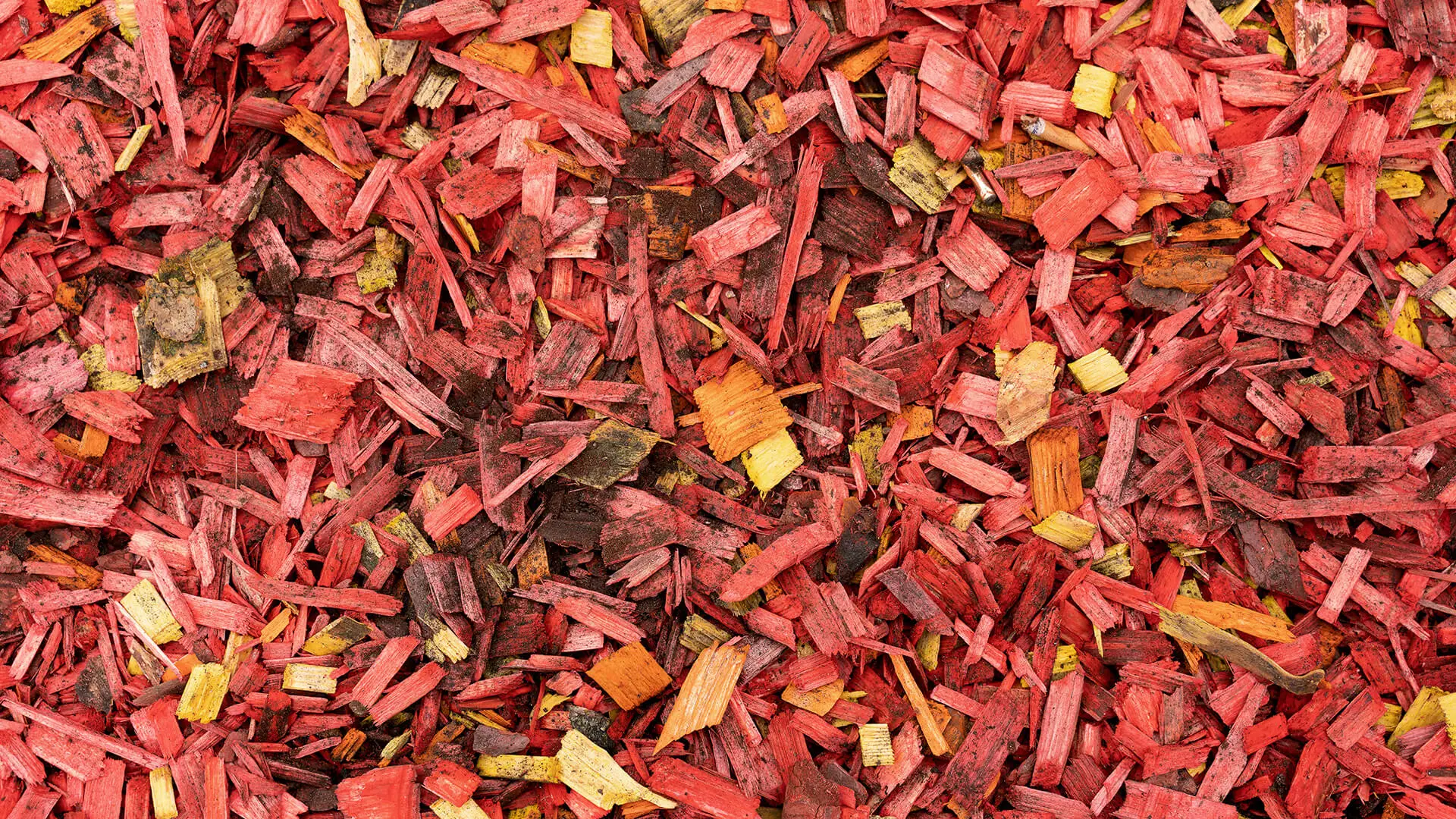 Dry wood chips