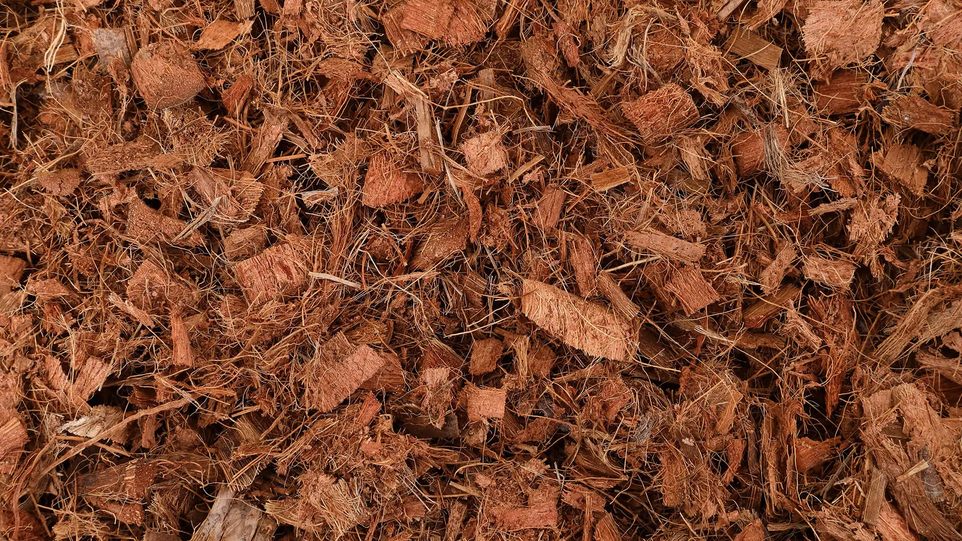 Coco chips