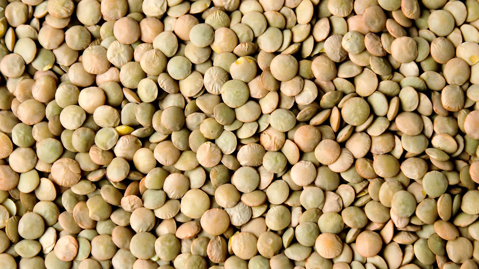 Lentils