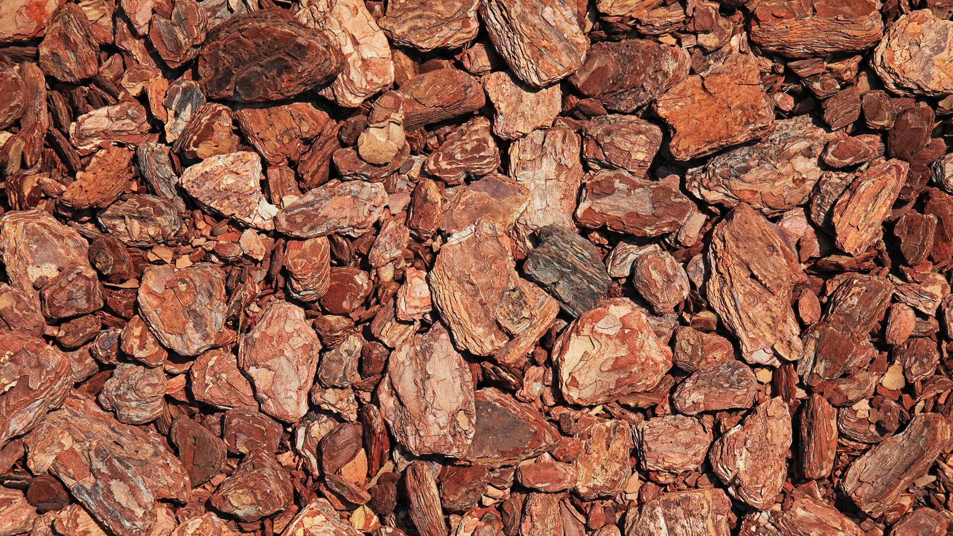 Pine bark nuggets