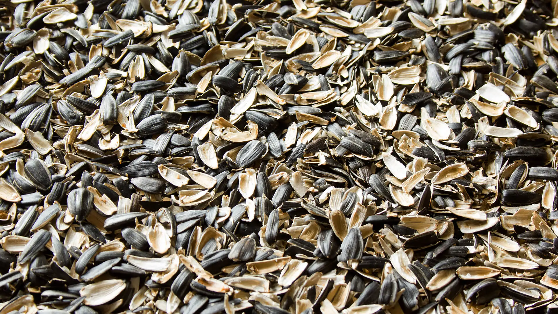 Seed hulls