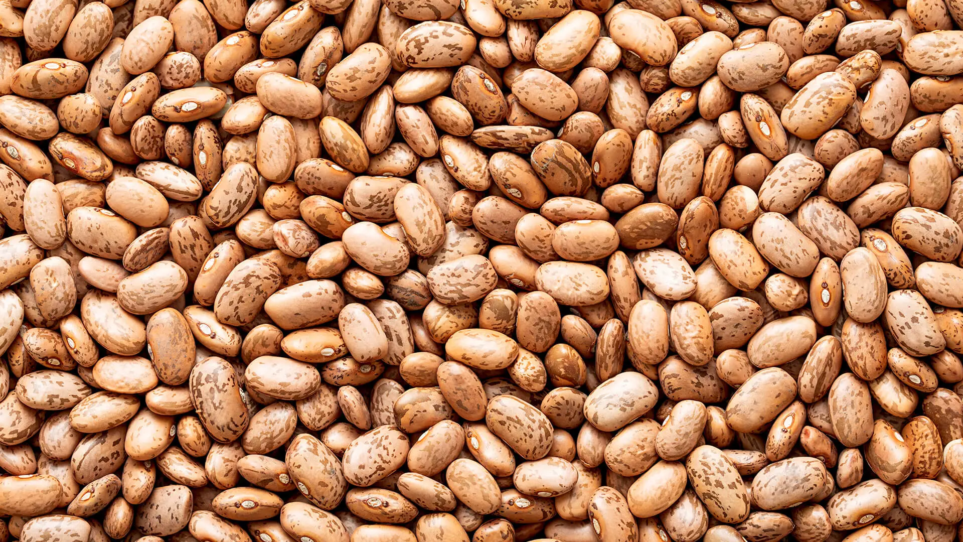 Pulses