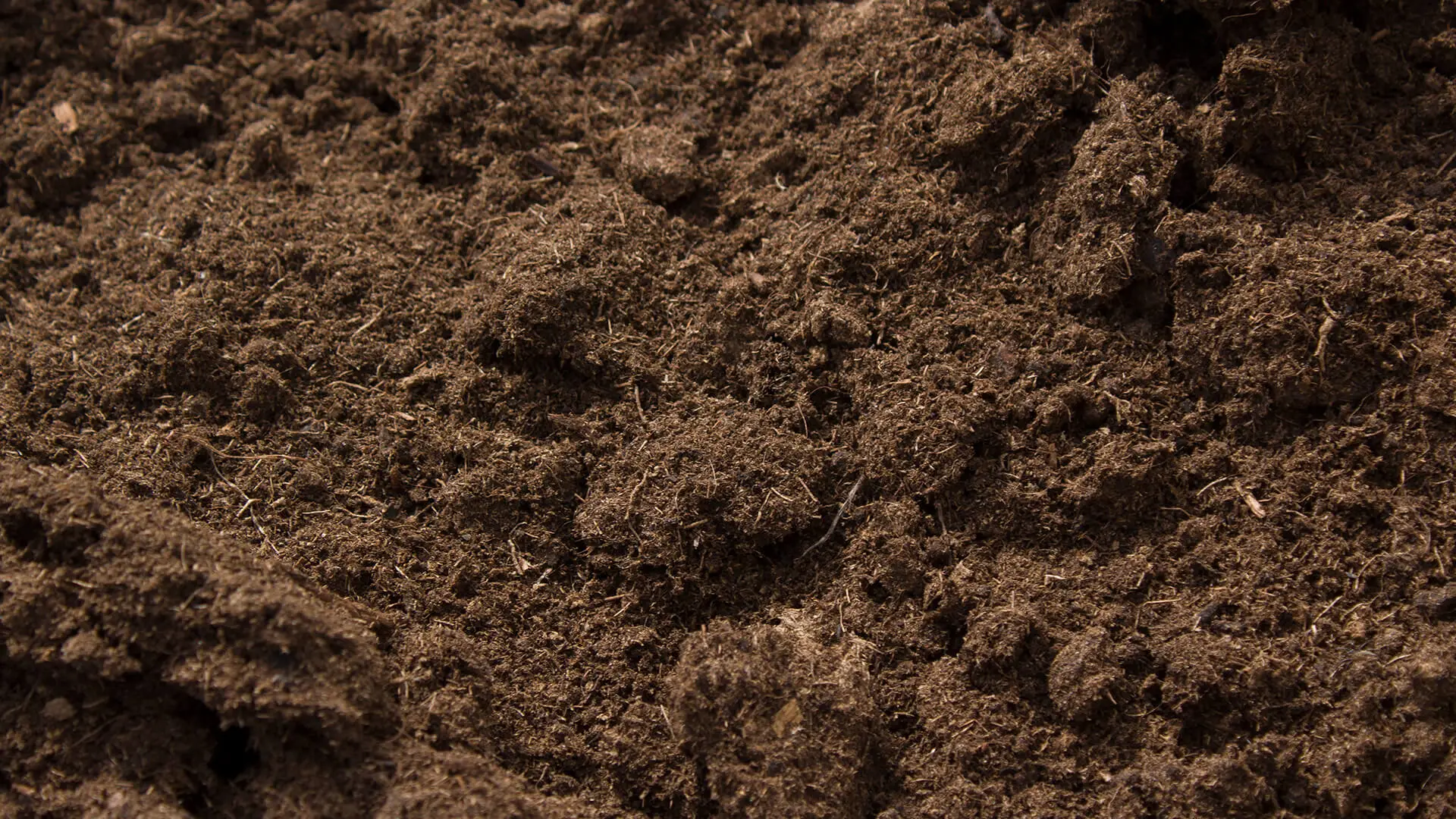 Brown Peat