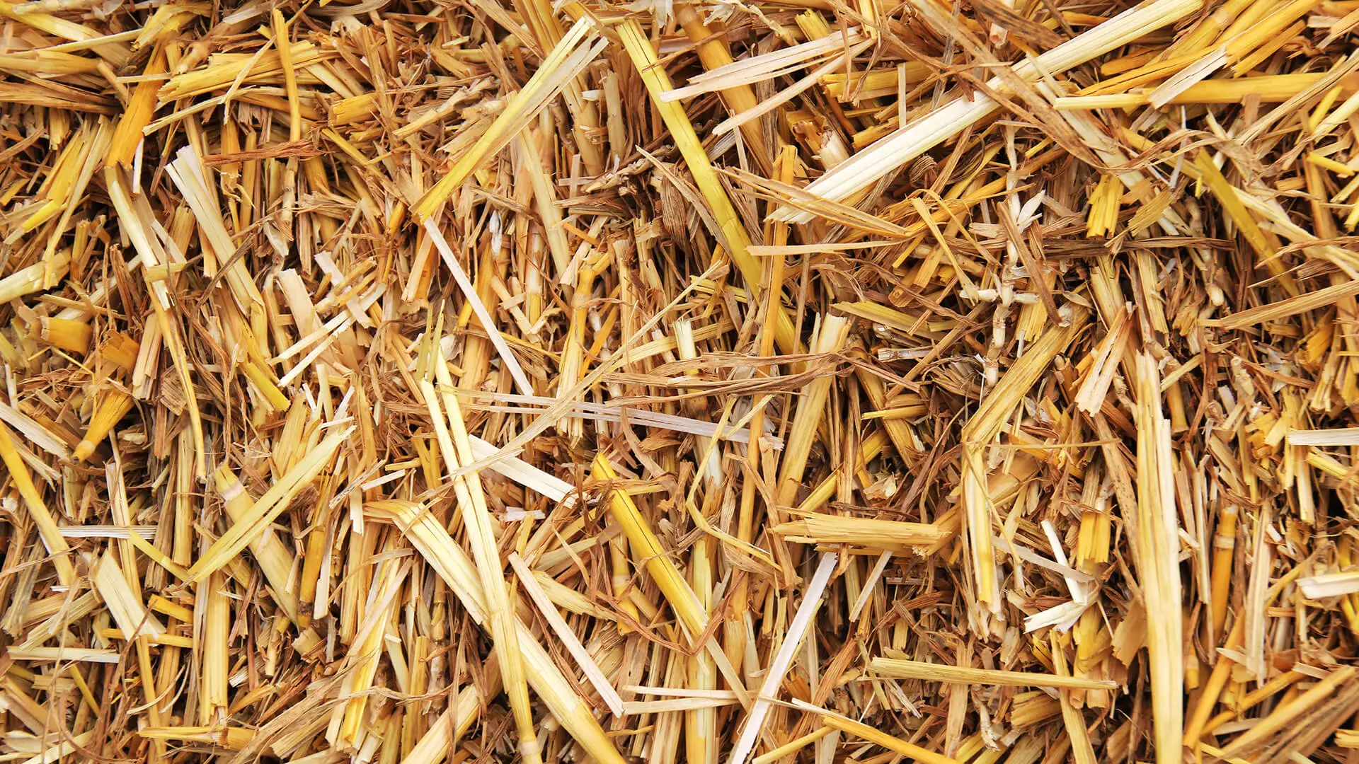 Straw