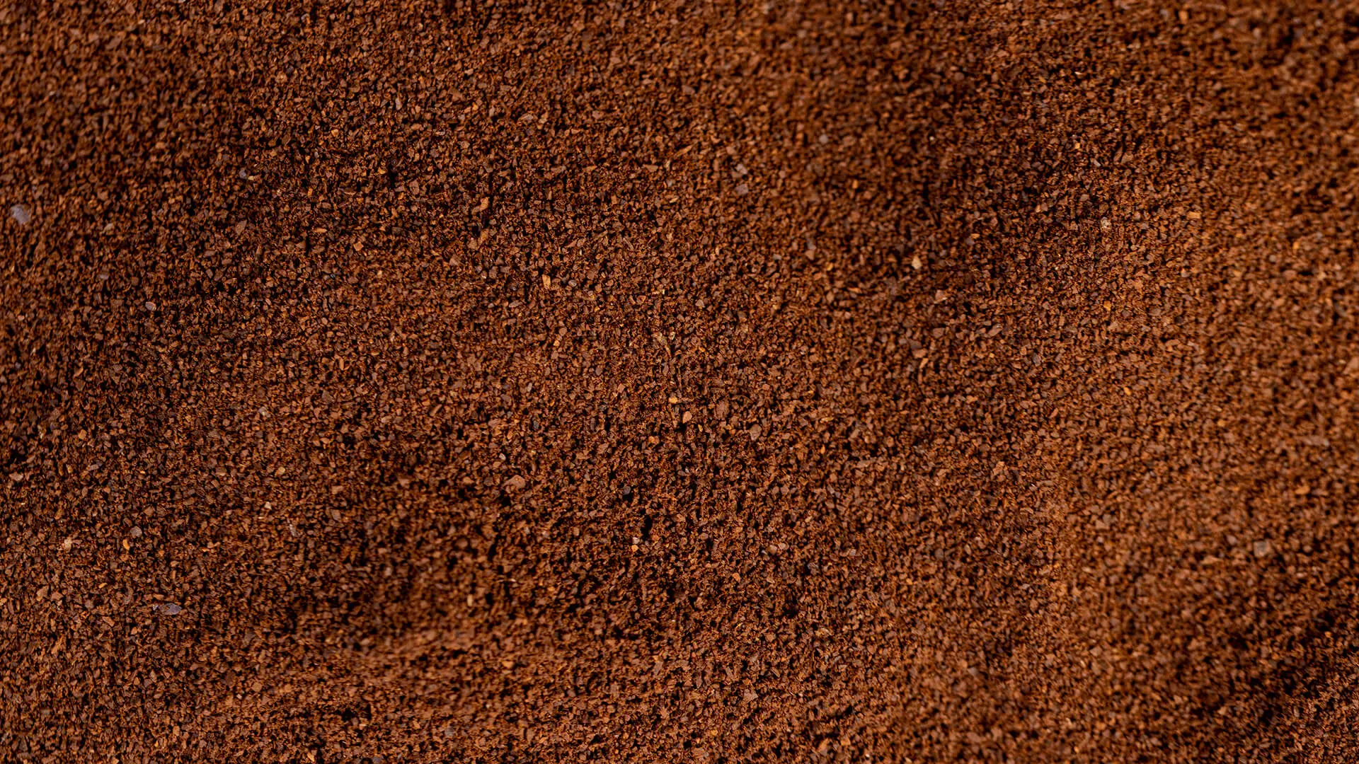 Instant coffee