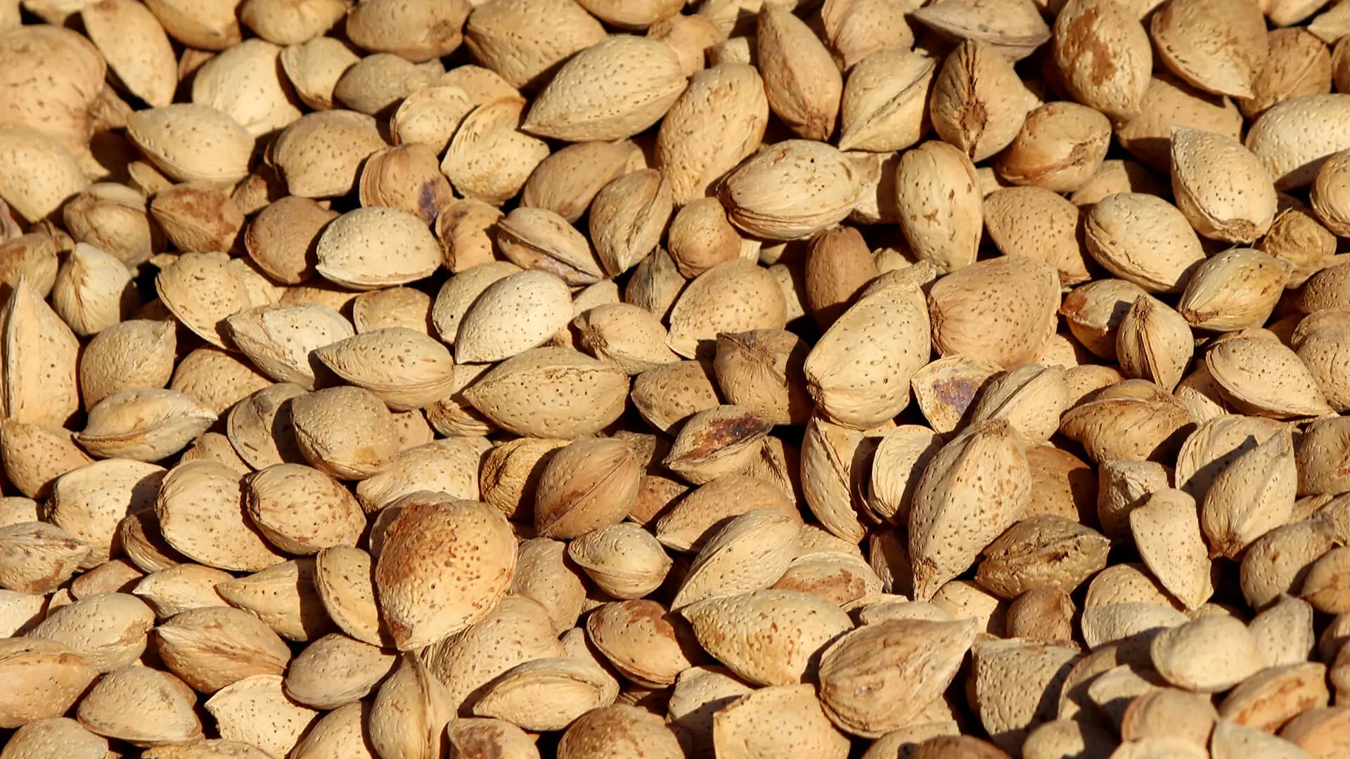 Almond hulls