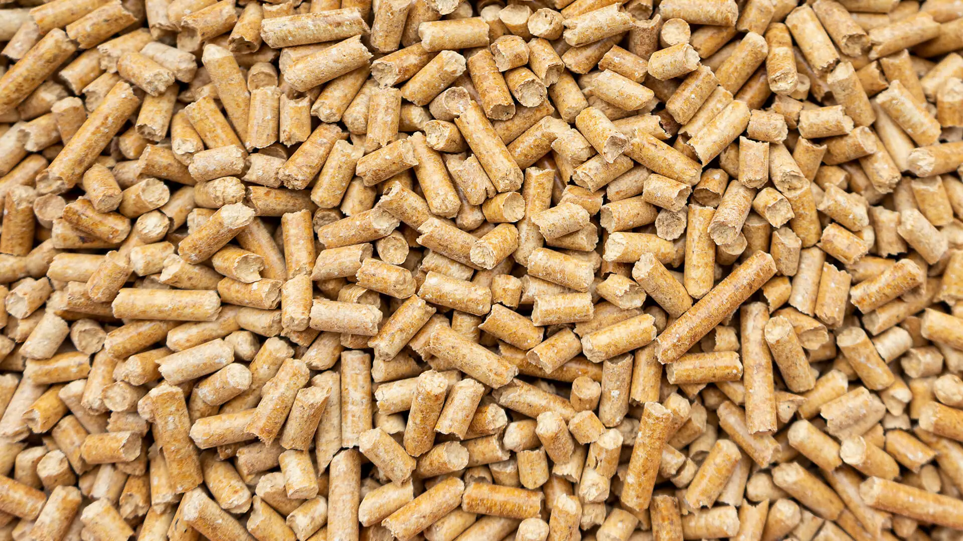 Wood-based litter