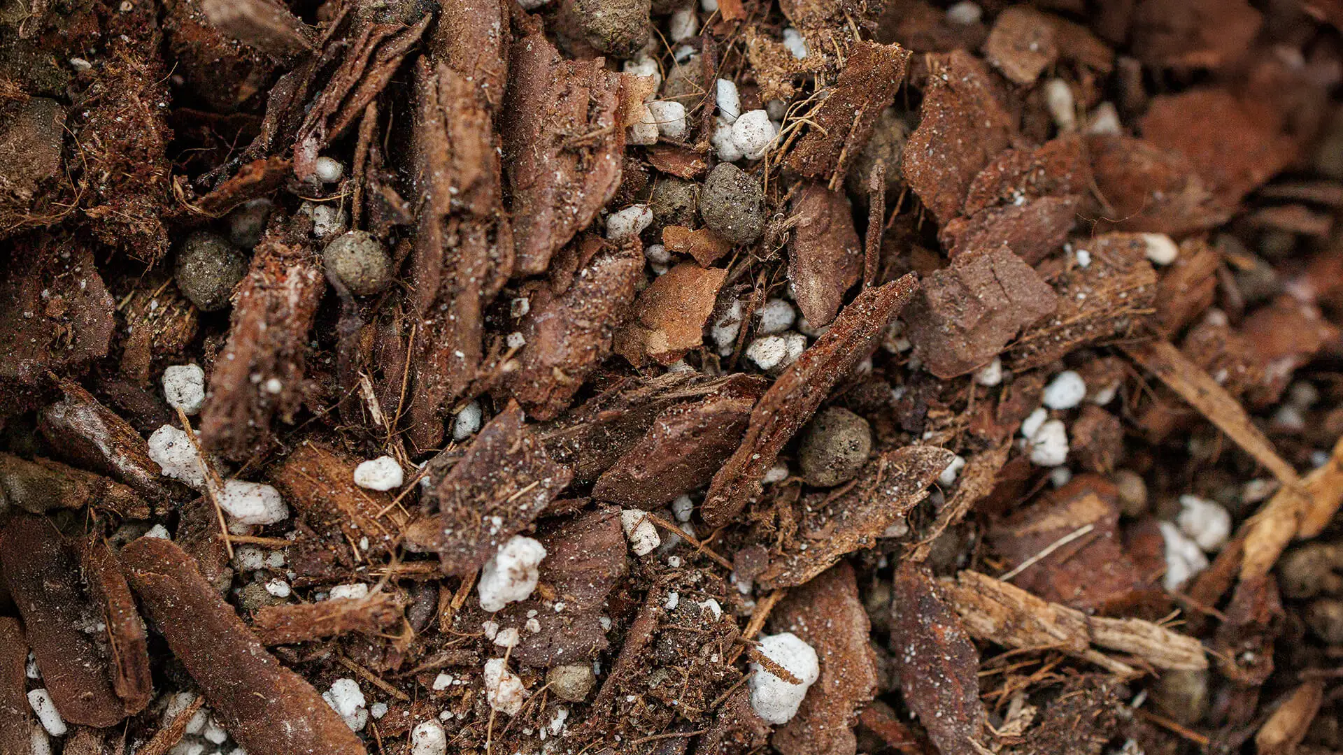 Soilless mixes