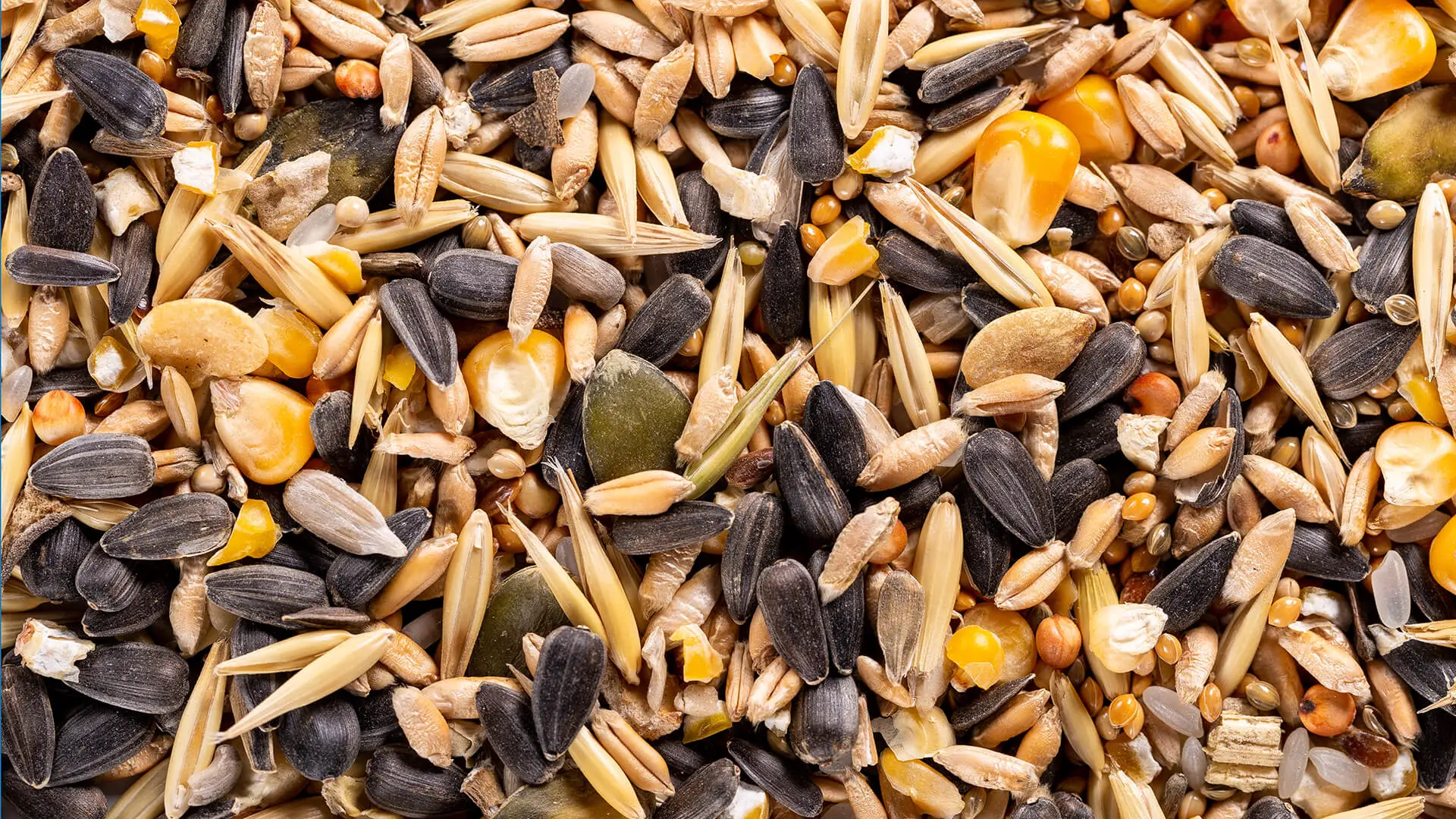 Wild bird seed mixes