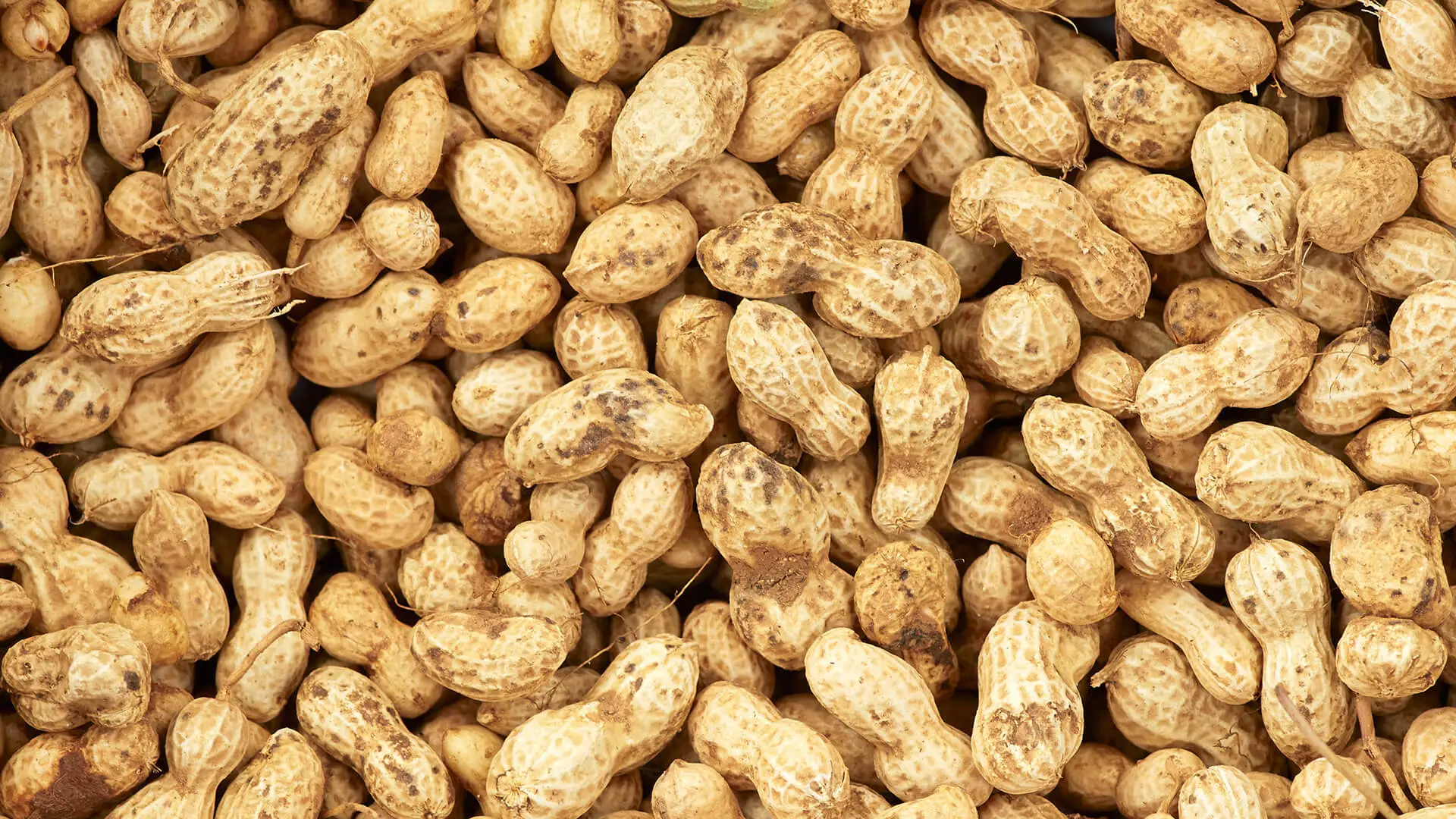 Peanuts