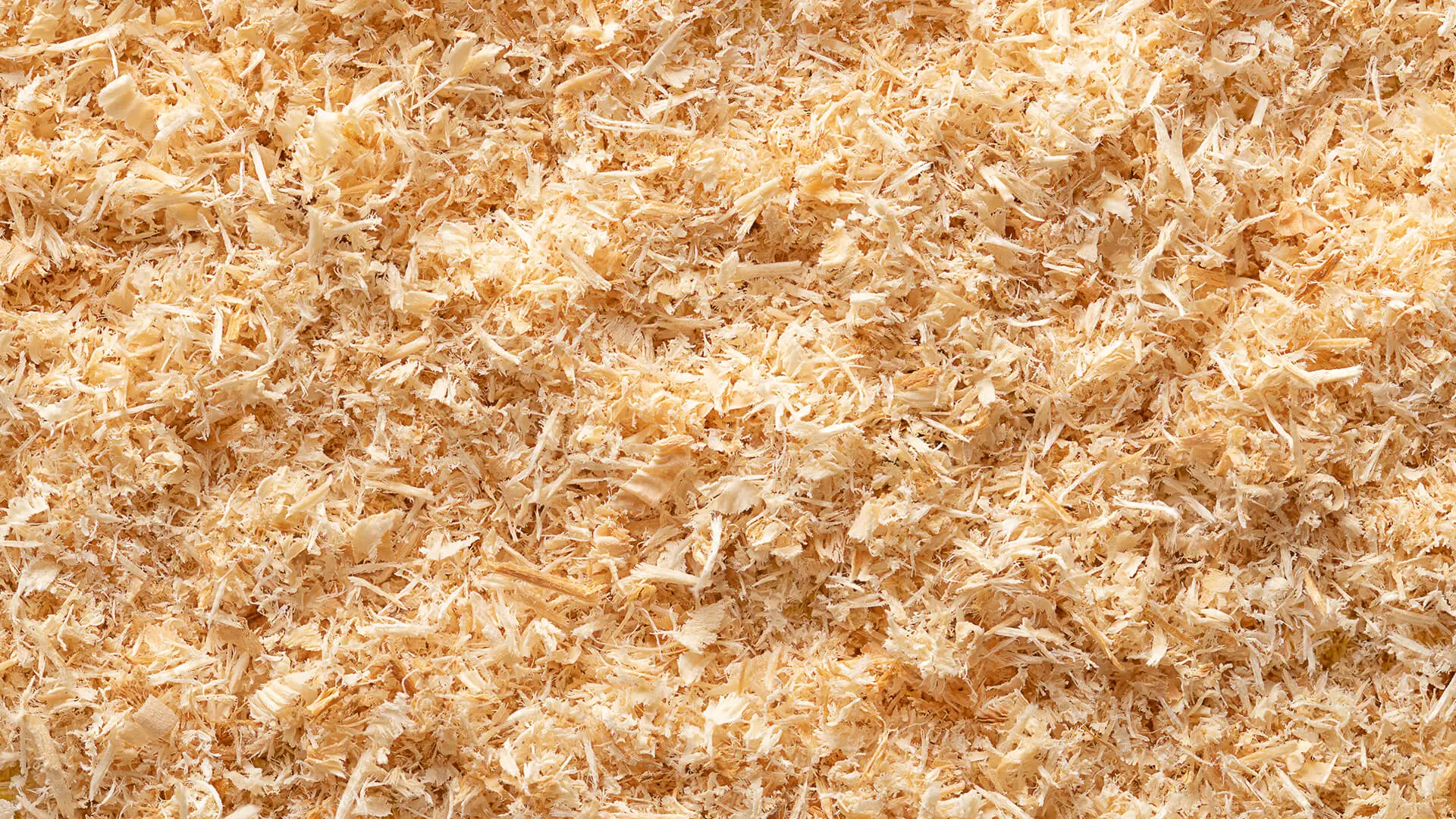 Bedding Sawdust
