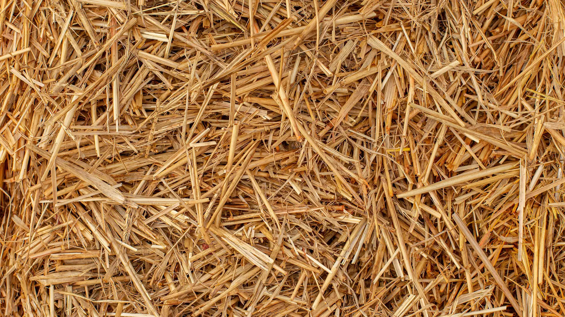 Bedding Straw
