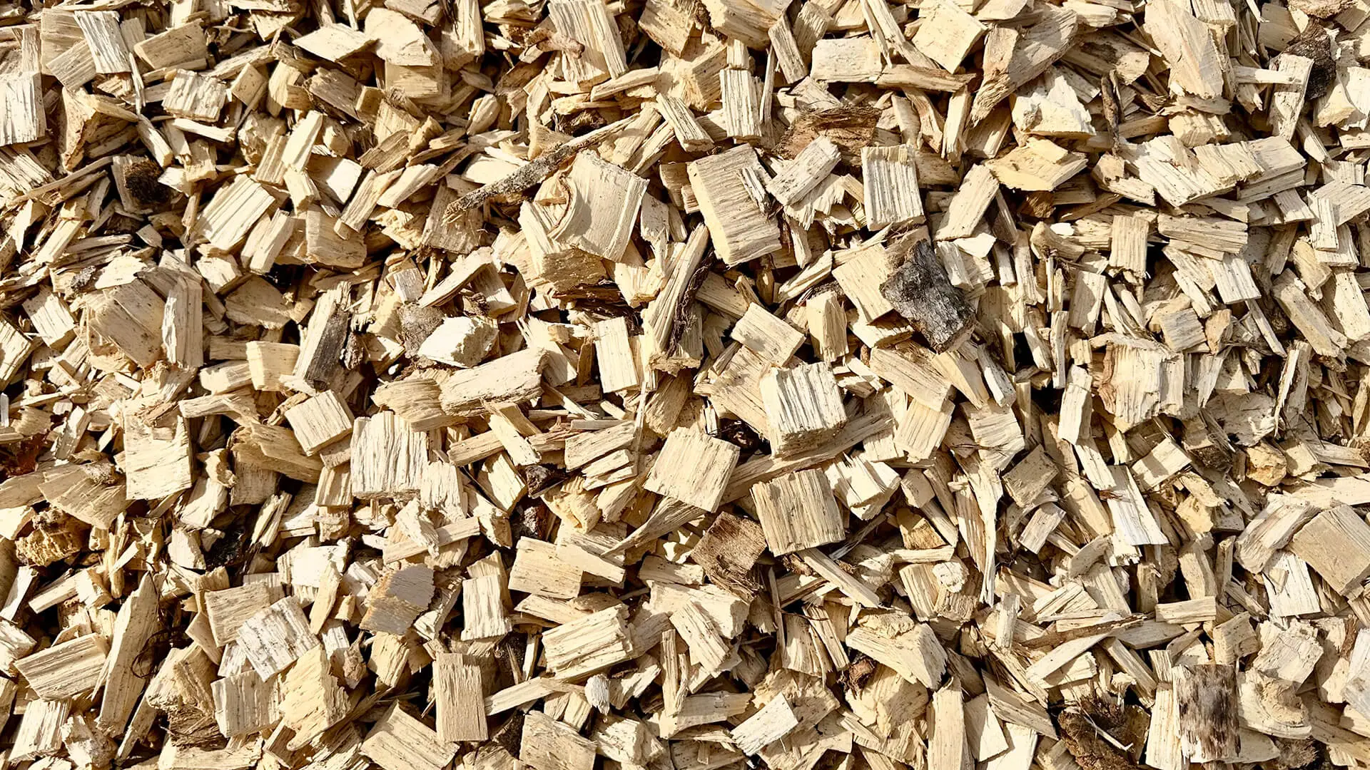 White soft wood chips