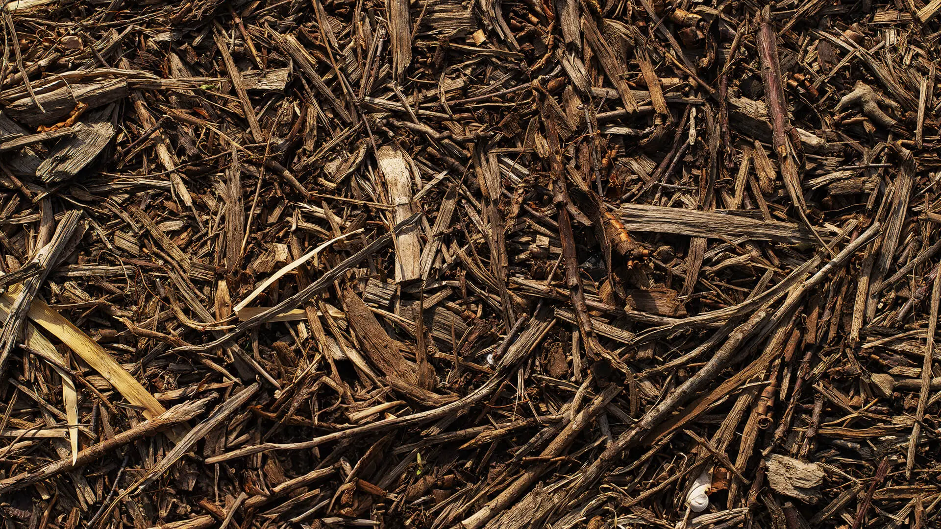 Shredded hardwood bark