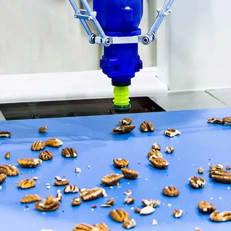 Optical Sorting
