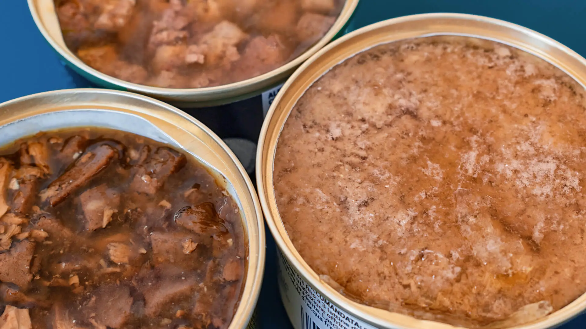 Wet pet food