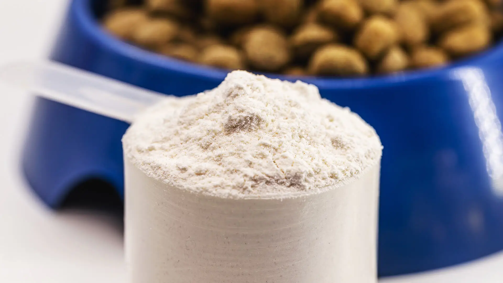 Powdered supplements