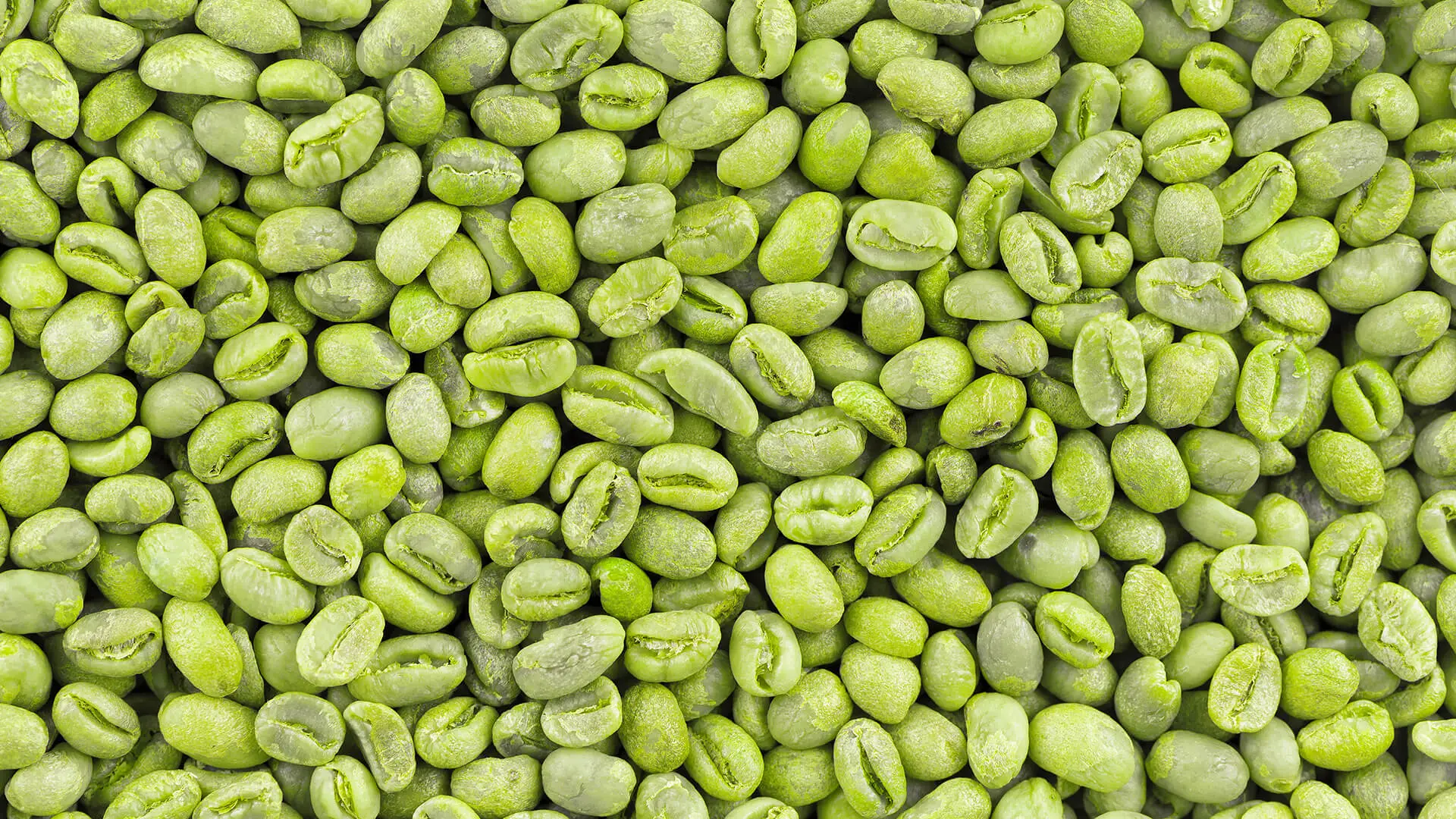 Green coffee beans