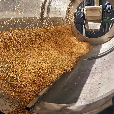 Mechanical Sorting