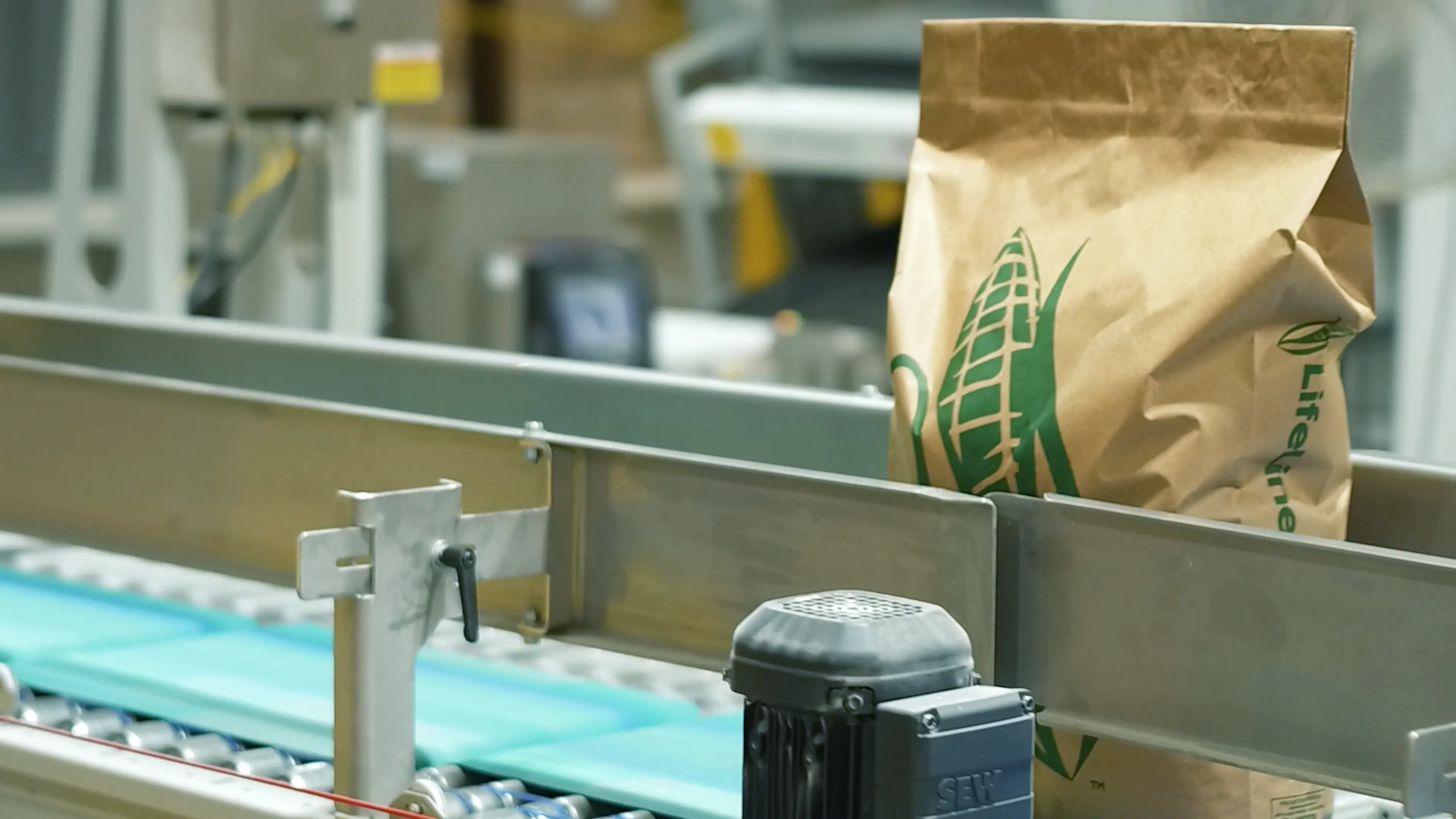 Lifeline Foods