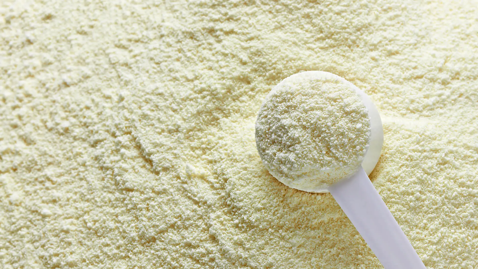 Milk powder