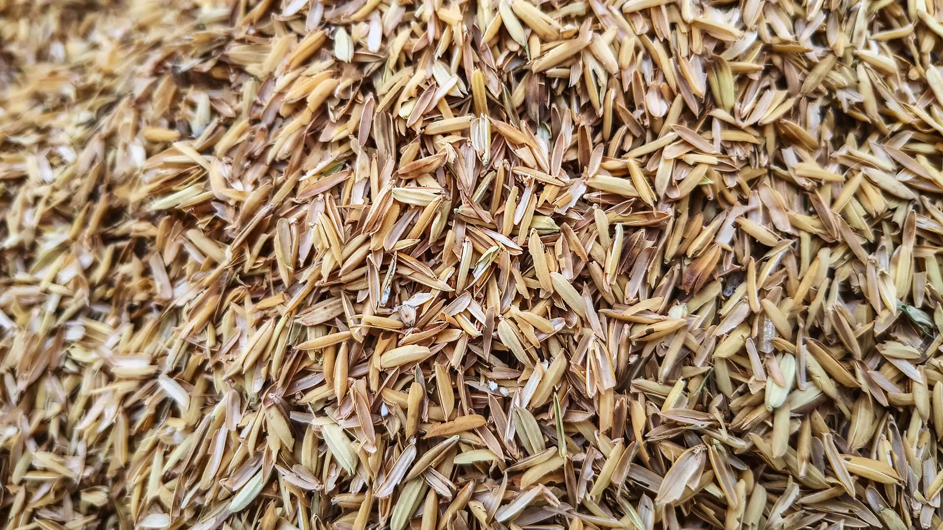 Rice hulls