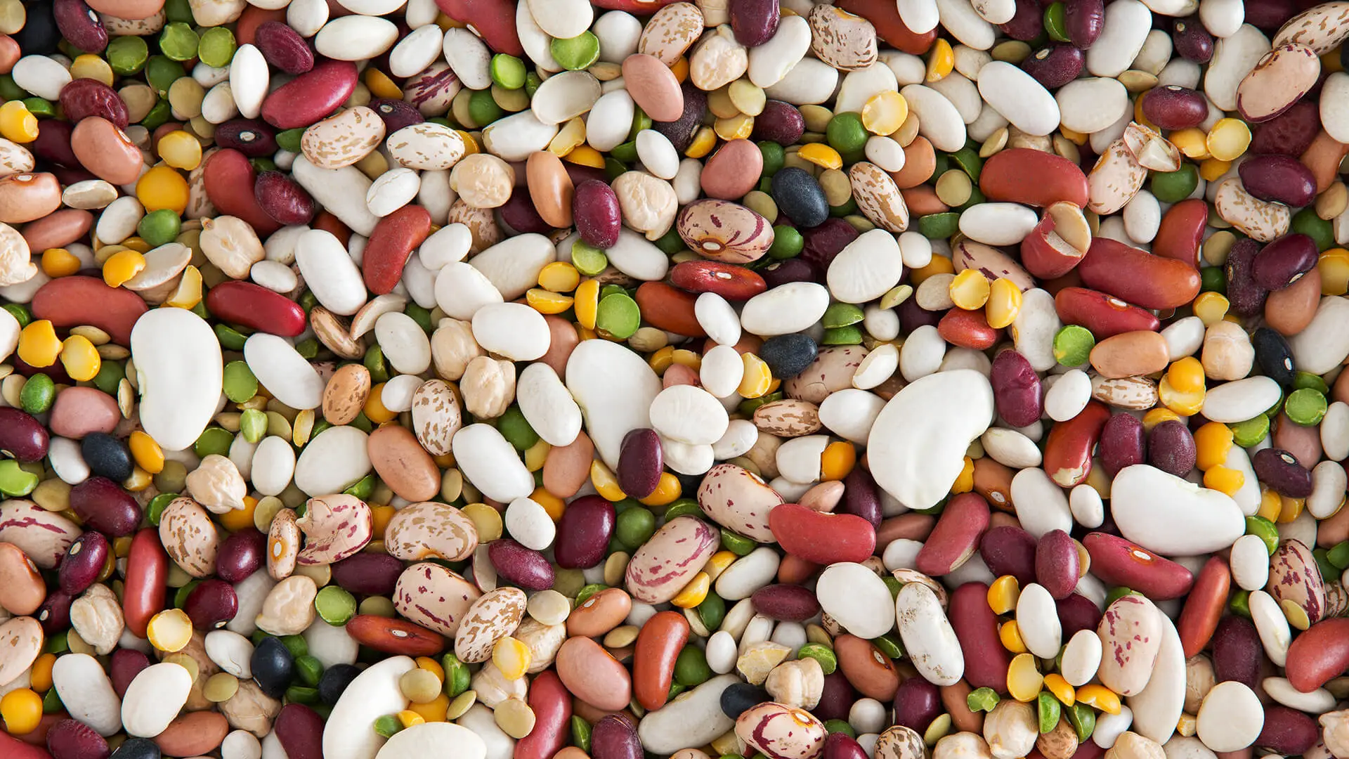Edible pulses