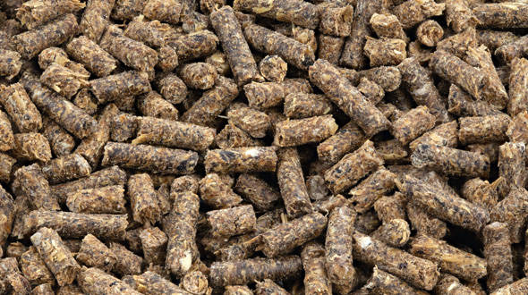 Animal Feed industry