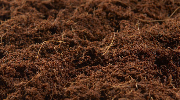 Peat moss industry