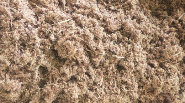 Wood fibre