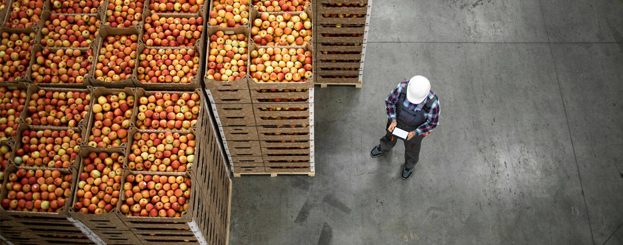 Palletized crates filled with apples