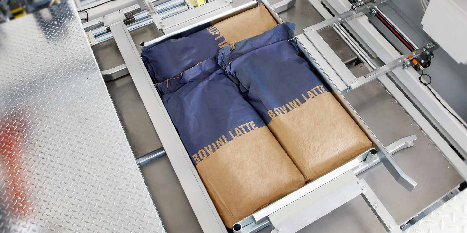 High level conventional palletizer with bags