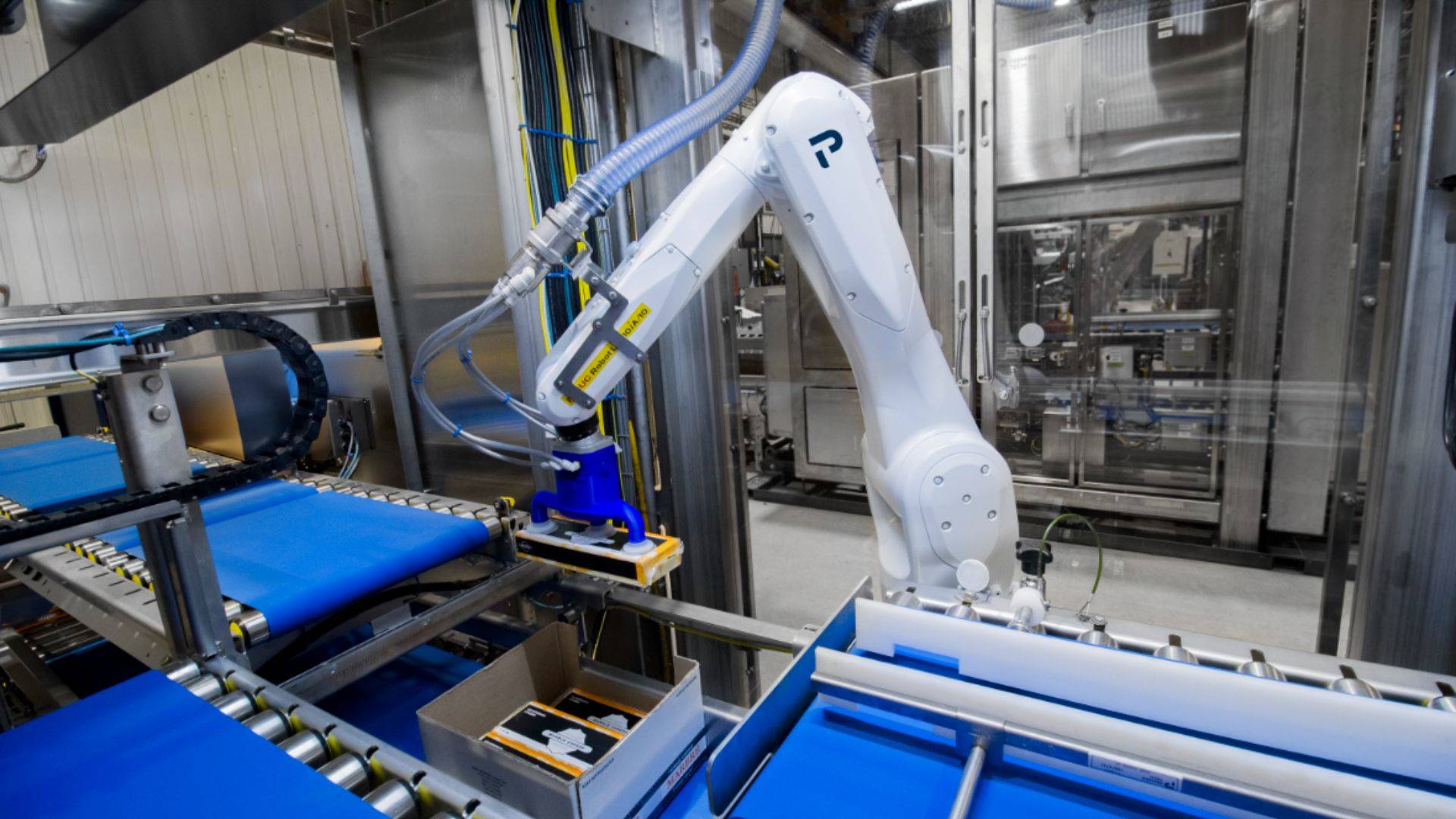 Robotic case packer packing cheese Robotic case packer packing cheese