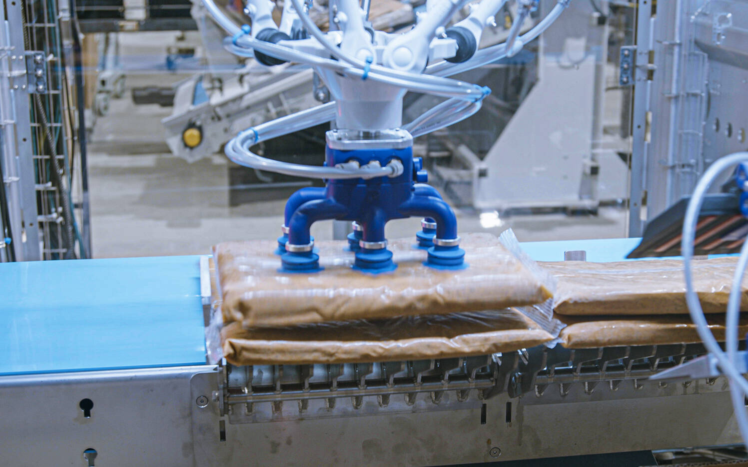  High-Speed Robotic Case Packer CHRONOS CPD Series video 