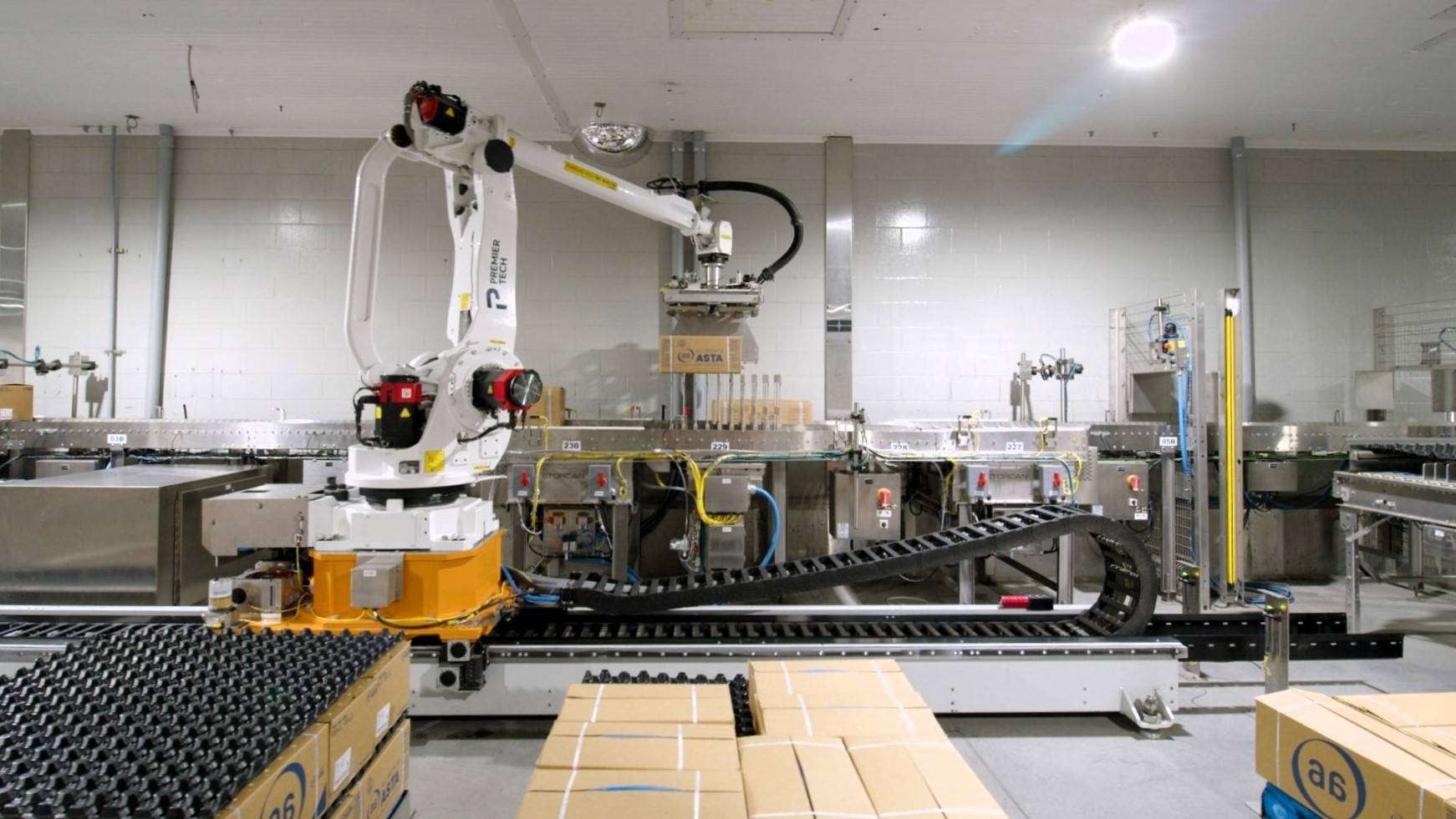 Automated palletizing solution used in the protein industry