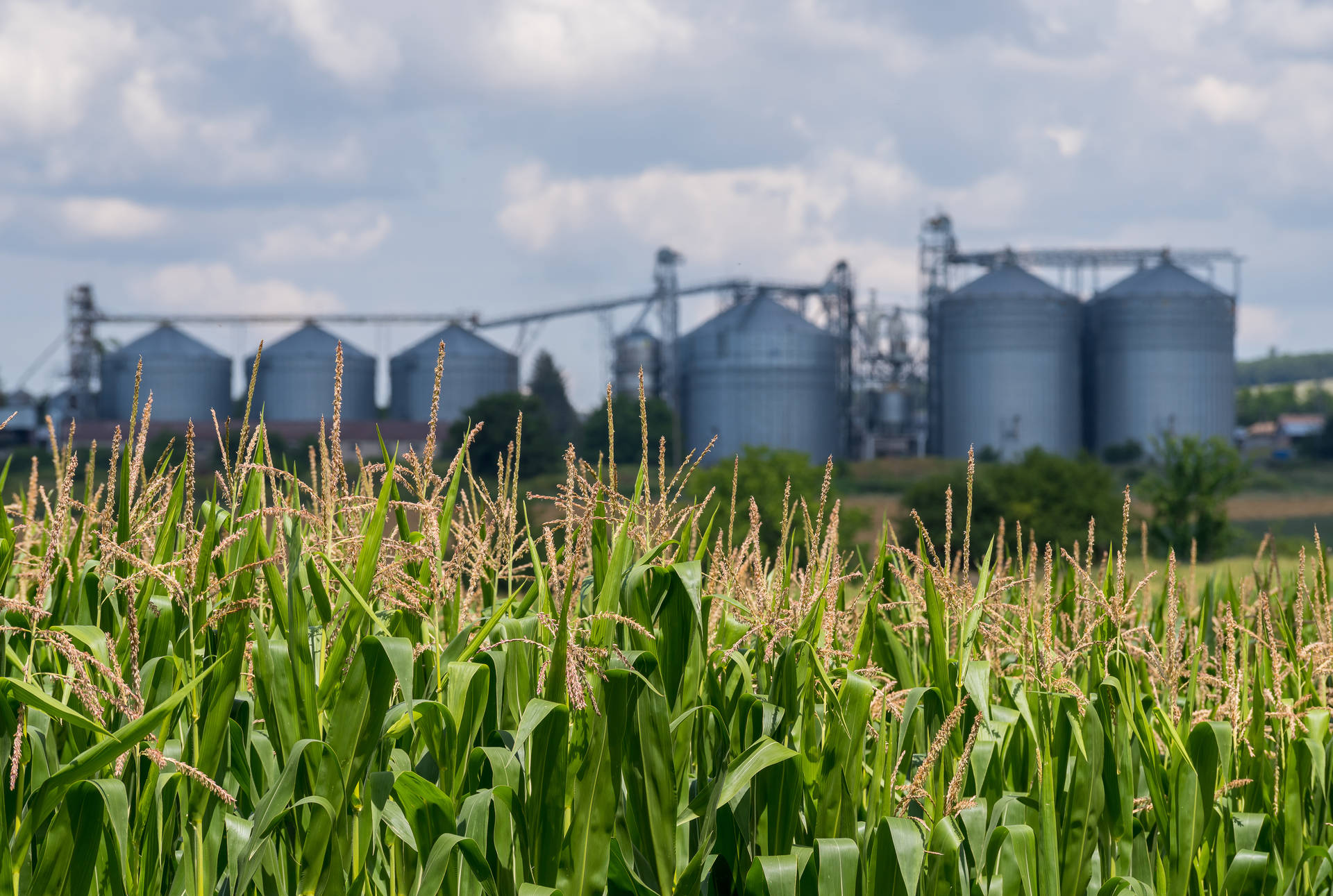 Agriculture - Premier Tech