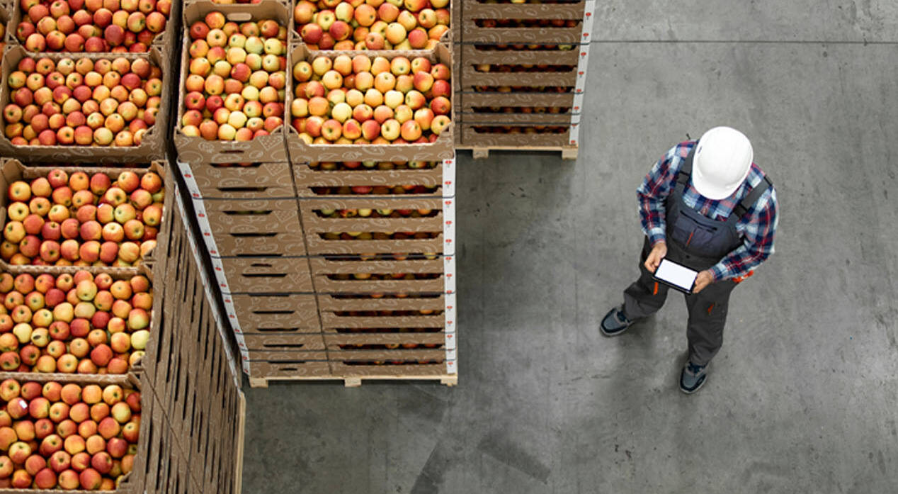 Palletized crates filled with apples
