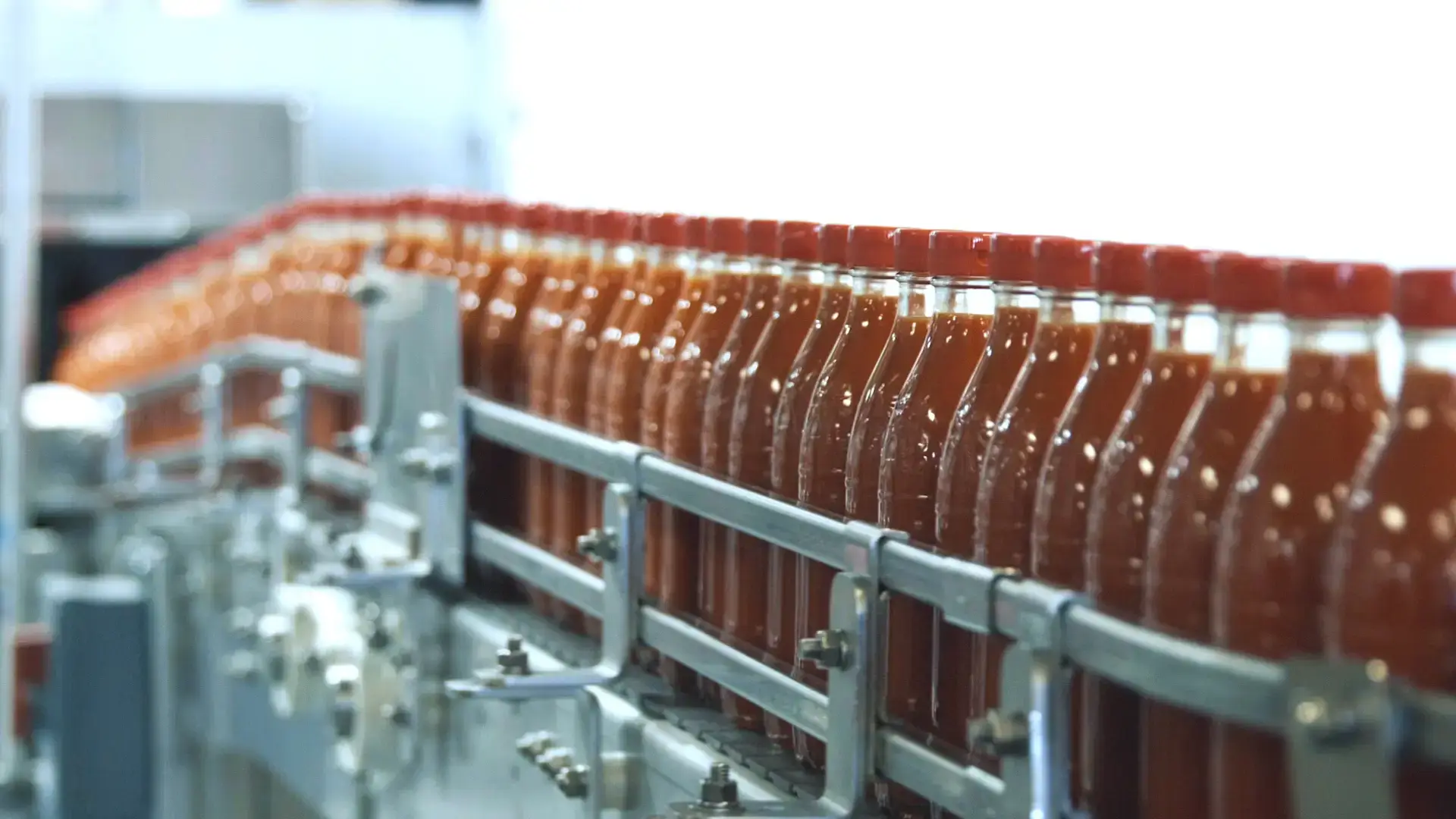 Hot sauce bottles in packaging on a production line, illustrating automated primary and secondary food packaging
