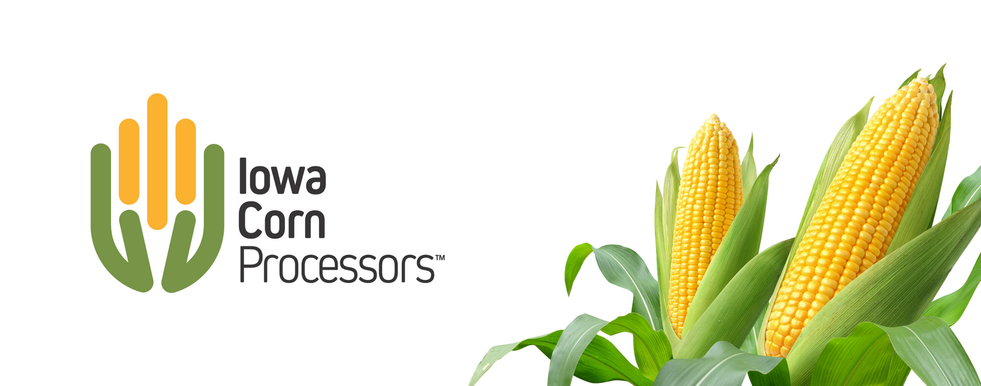 Iowa Corn Processors logo alongside golden corn, representing the partnership with Premier Tech for automated packaging solutions in Glidden, Iowa.
