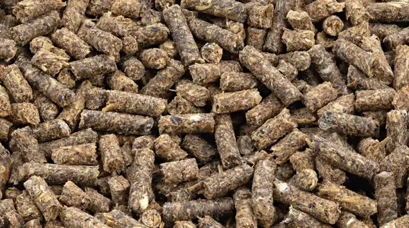 Animal Feed industry