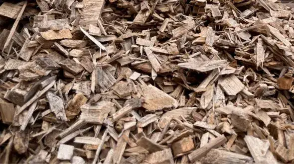 Close-up view of white soft wood chips